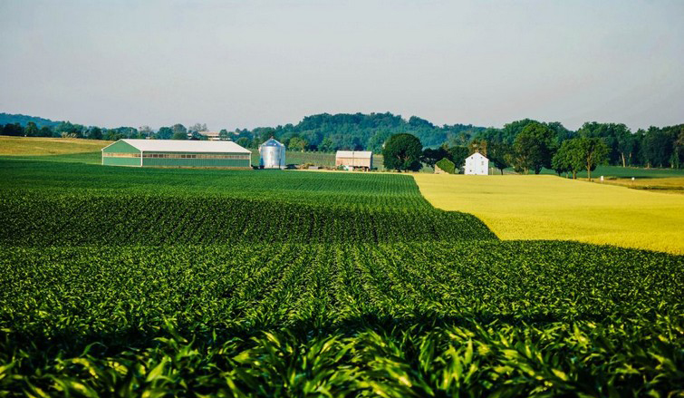 Farm Homes, Buildings, and Property